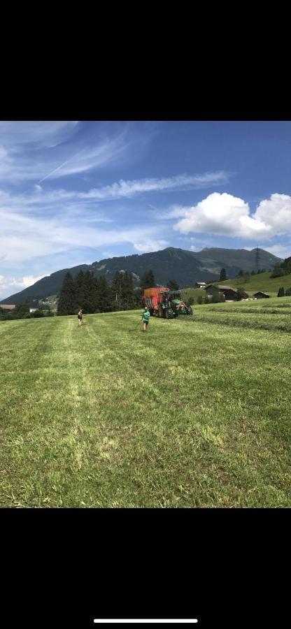 Villa Schneiderhof Weerberg Esterno foto