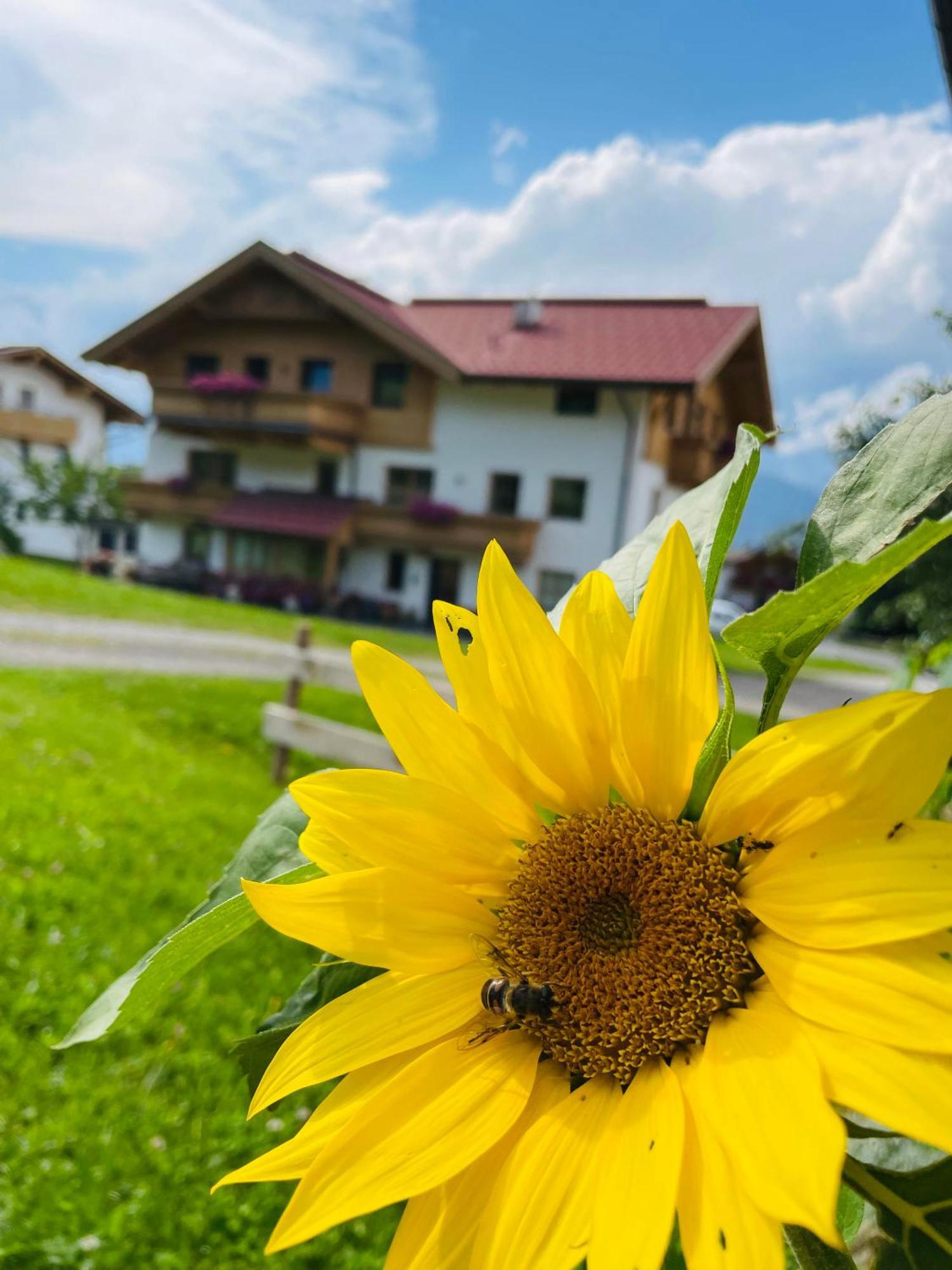 Villa Schneiderhof Weerberg Esterno foto